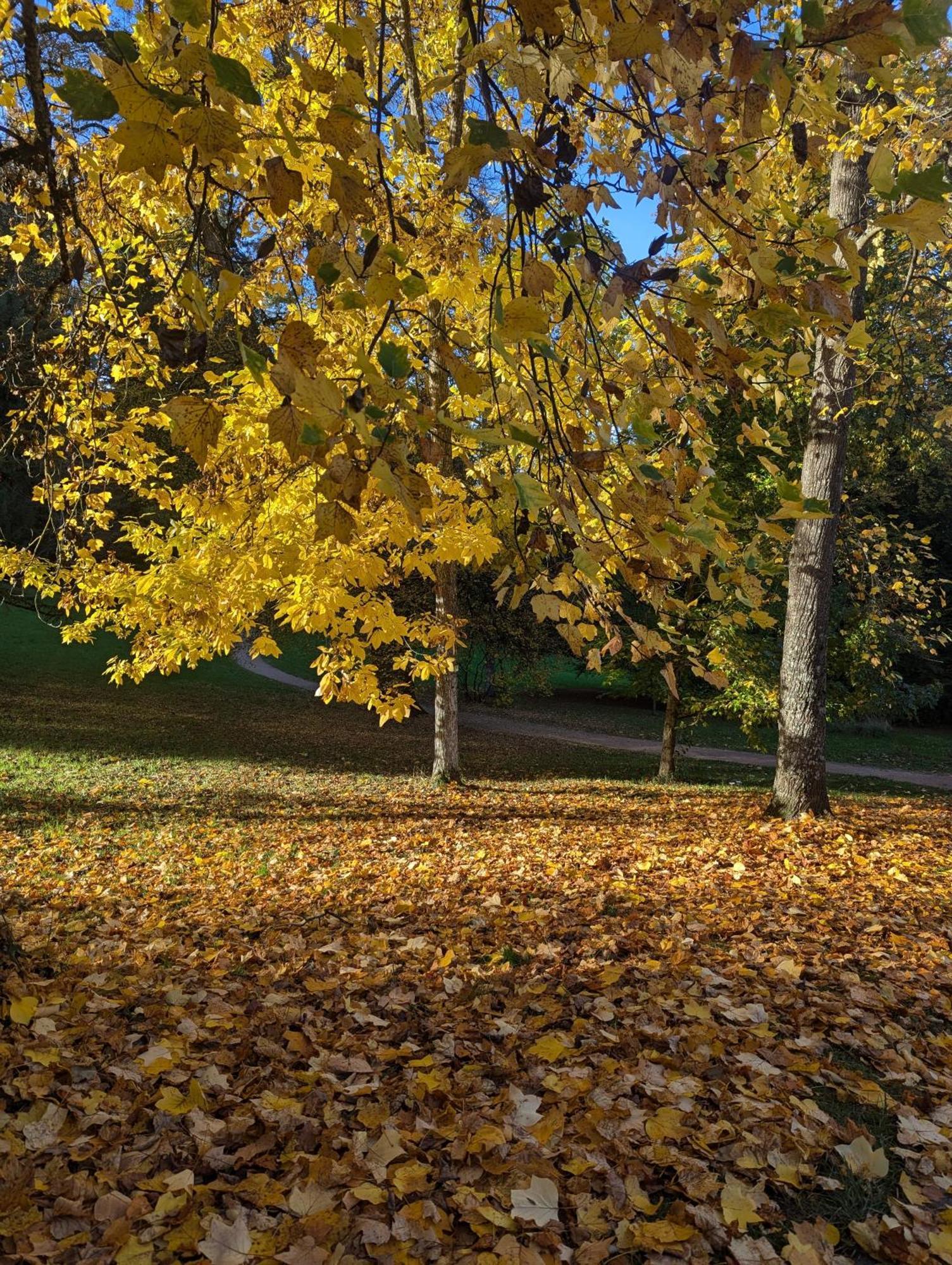 Park Badenweiler