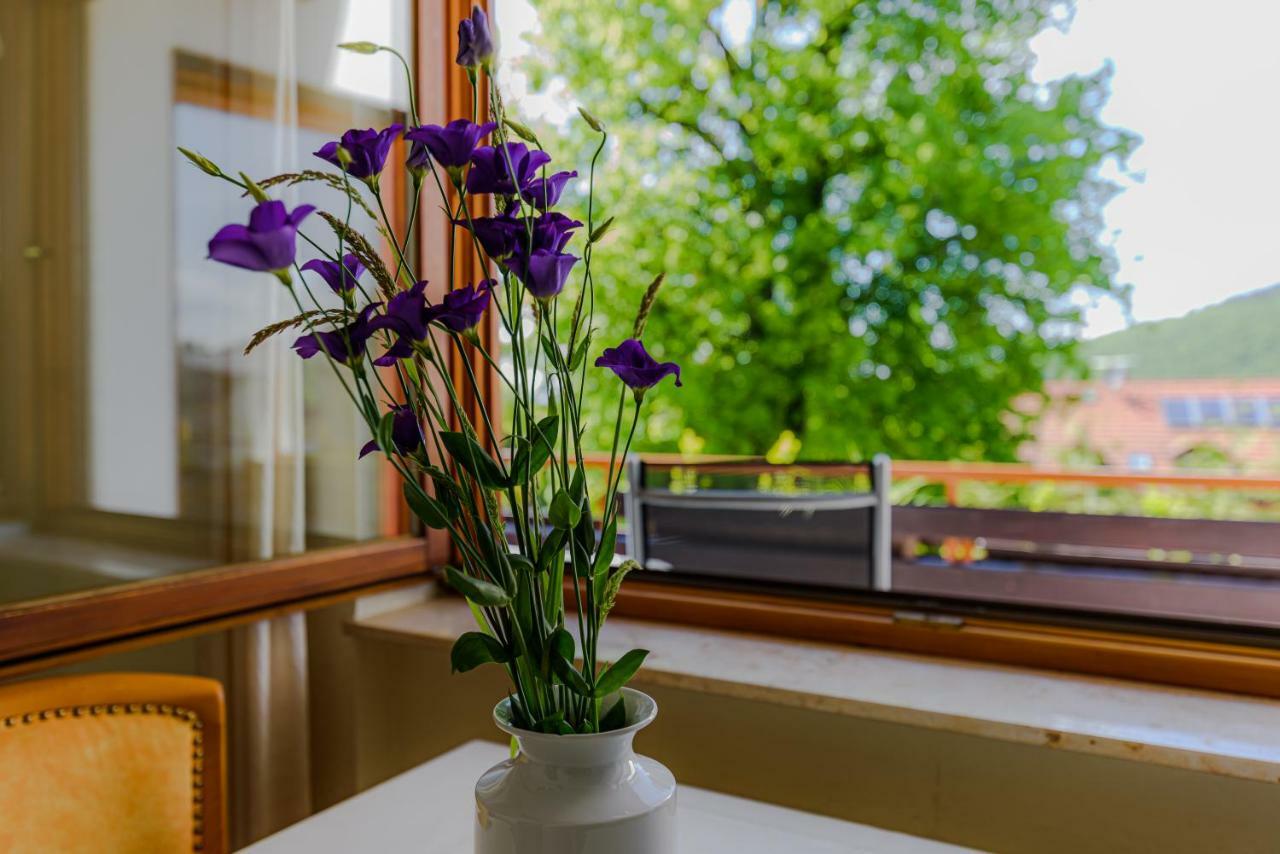 Apartment Park Badenweiler